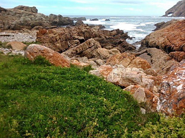 Inviting green vegetation right up to the shoreline where waves crash up against the rocks