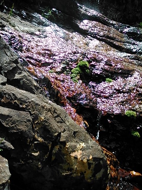 The magic and beauty of nature brought to life by the waters from above