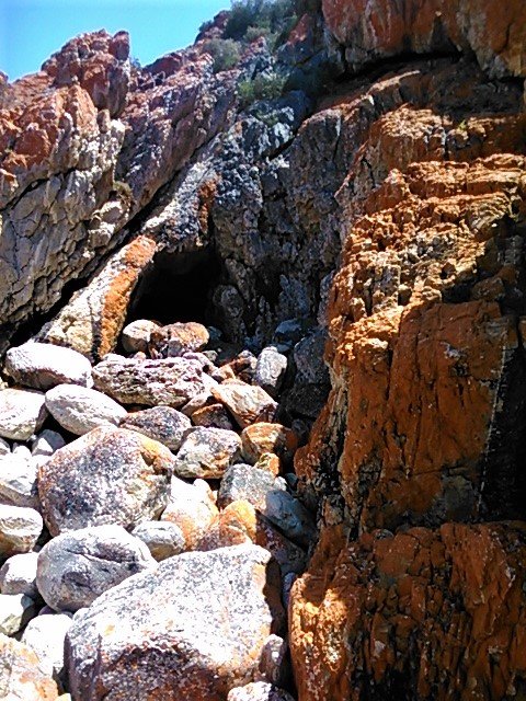 One of my meditation caves - a perfect shelter from the wild world exploding around us.