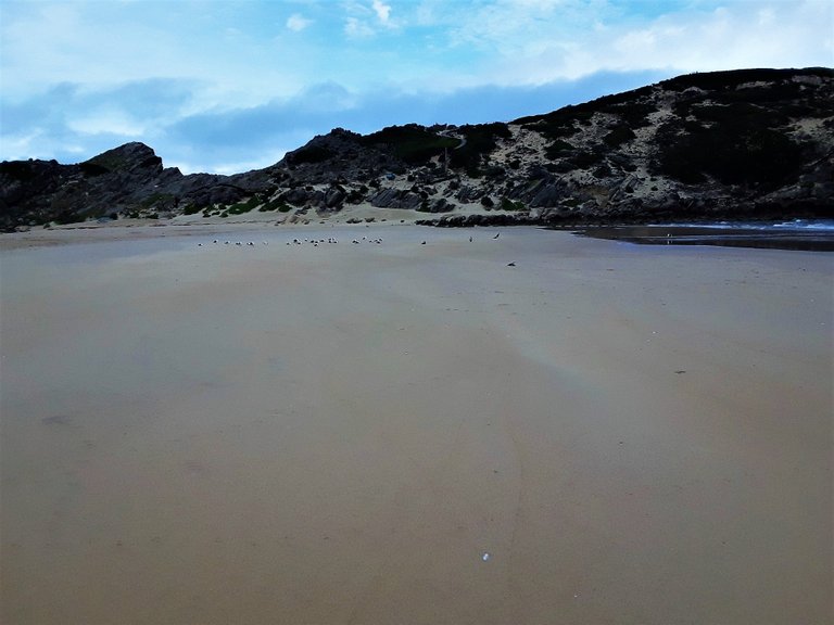 Approaching The Island - with its feathered inhabitants