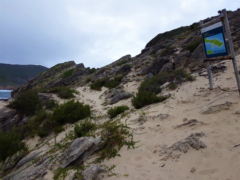 The Island - a small sandstone outcrop as you can see on the map