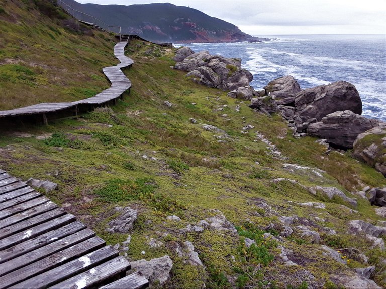 Further along the wooden walkway that goes around The Island