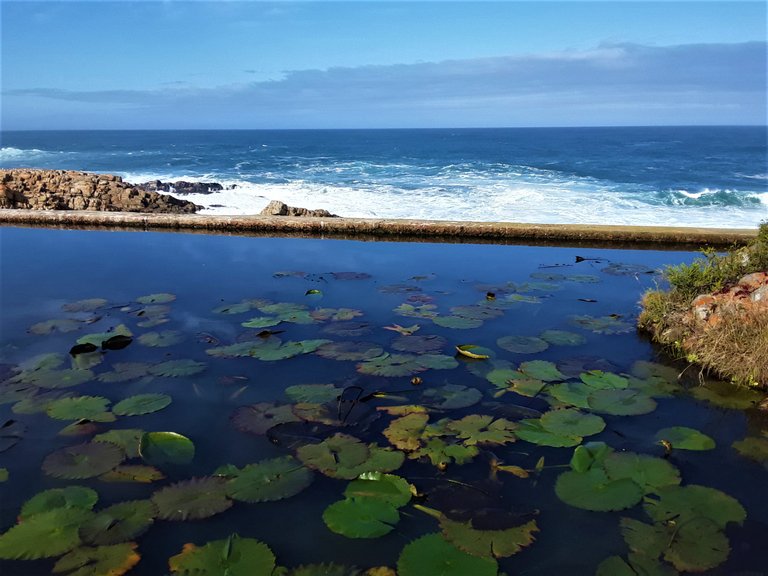 Indian ocean just a splash beyond the wall of the fresh river catchment area - a rare sight to behold