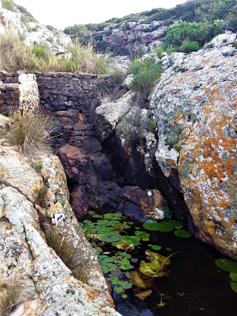 Fresh stream arriving in the pool contained by the concrete wall just beside the ocean shoreline below the castle