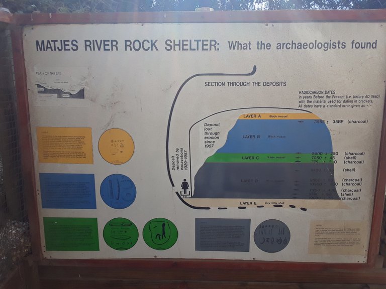 Discoveries in the sedimentary layers