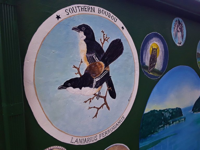 One of the indigenous species of birds on display in this educational and eco-focused art