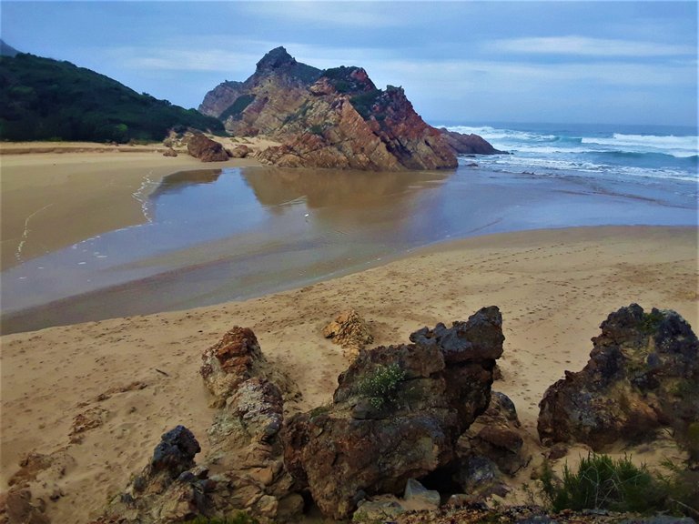 Little stream running out to sea making a perfect breeding ground for sea birds