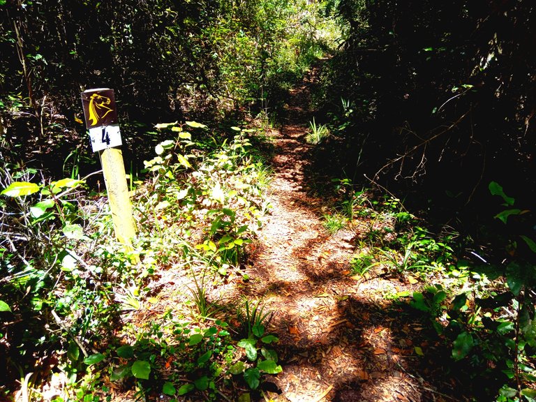 The waterfall and trail is called Perdekop, which means horse head in the vernacular Afrikaans language, originally derived from Dutch.