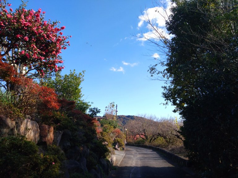 One of the roads leading up into the hills.