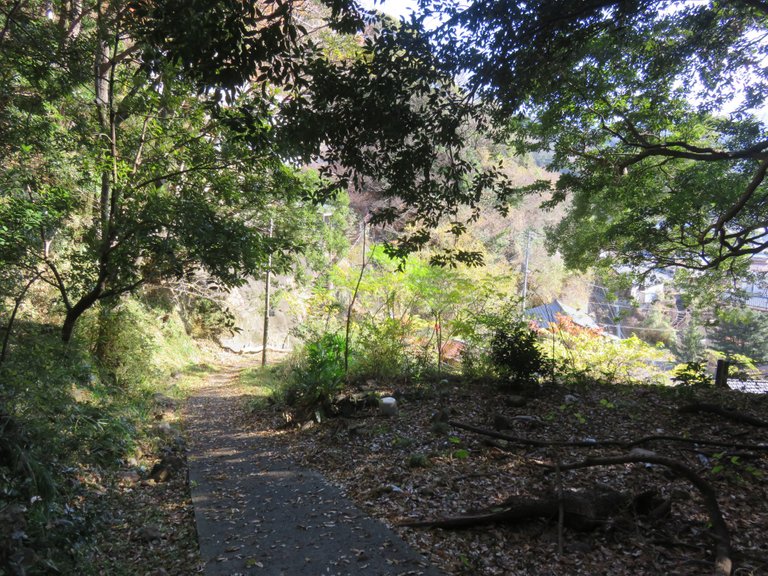 Walking over the first hill between Toi and Odoi.