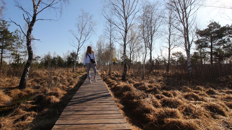 Aukštumala Cognitive Trail