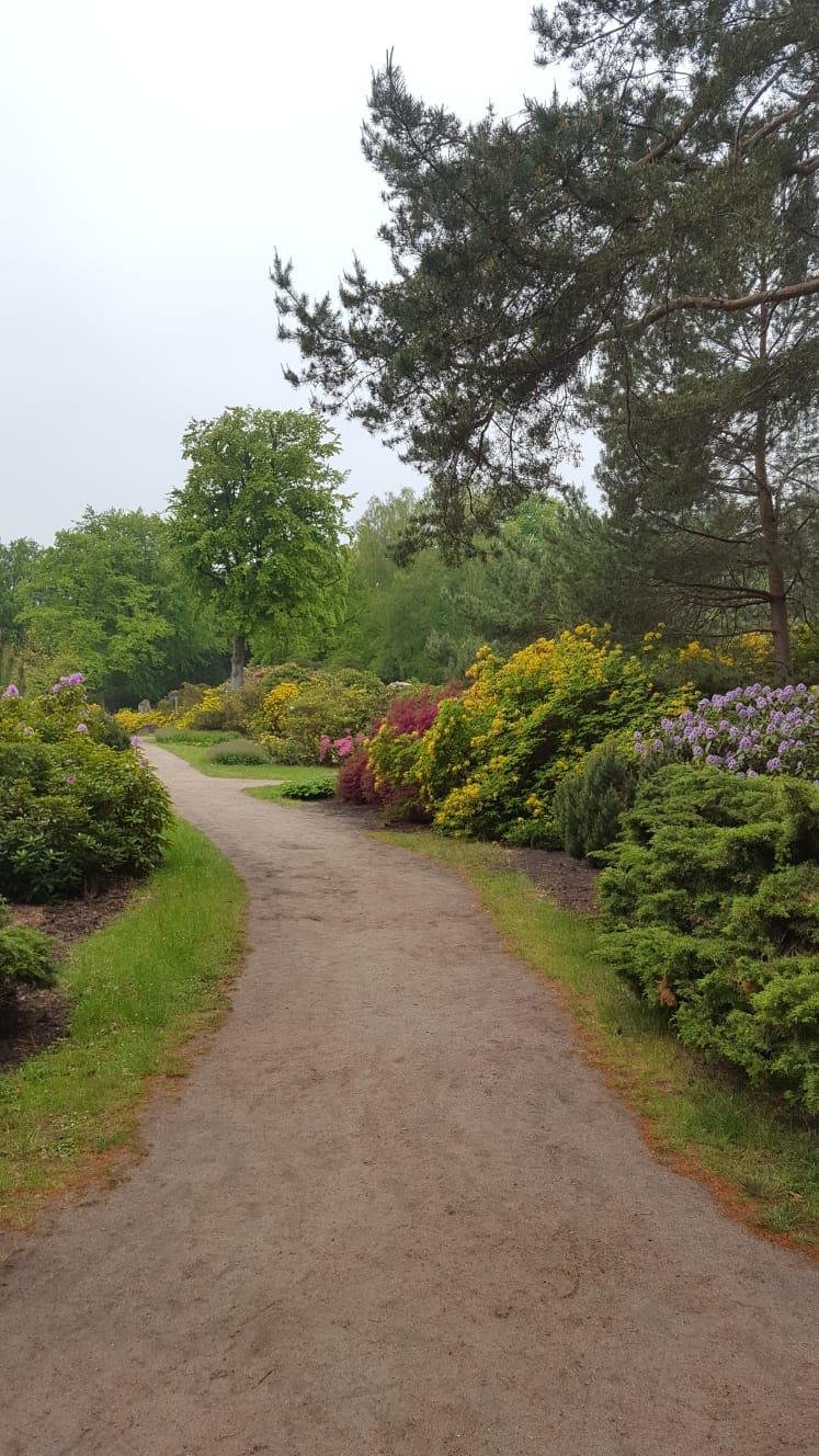 Rhododendron Park Graal-Müritz