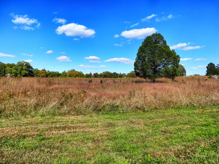 One of a few battle fields