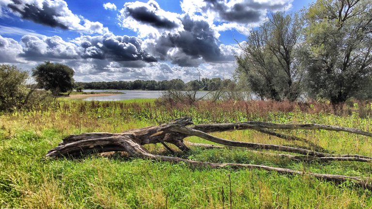 There is nature too in the former restricted area.