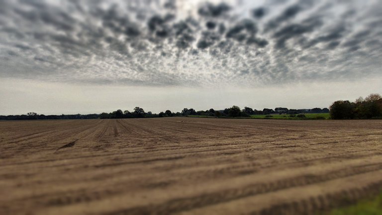 Cloudy sky over forgotten land.