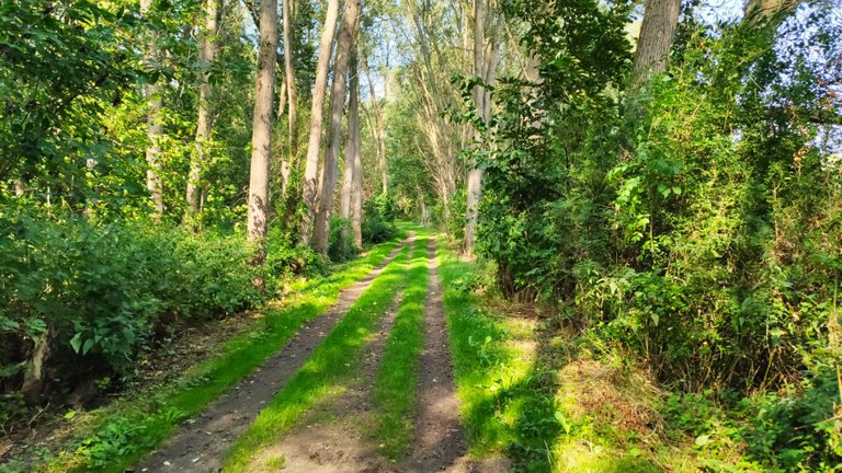 The trekking path along the death zone is beautiful.