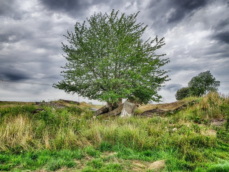 New life from old bunkers