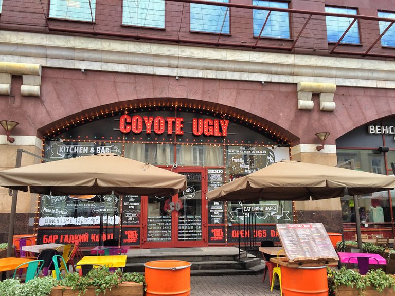 Do you remember the movie Coyote Ugly?