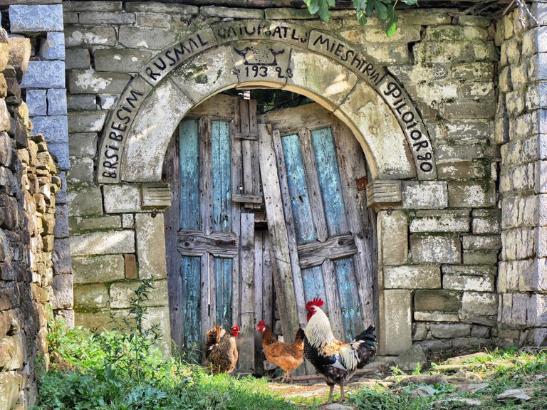 Walls older as the time, with chicks