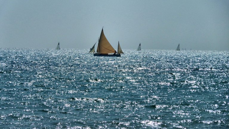 Boats looking for wind