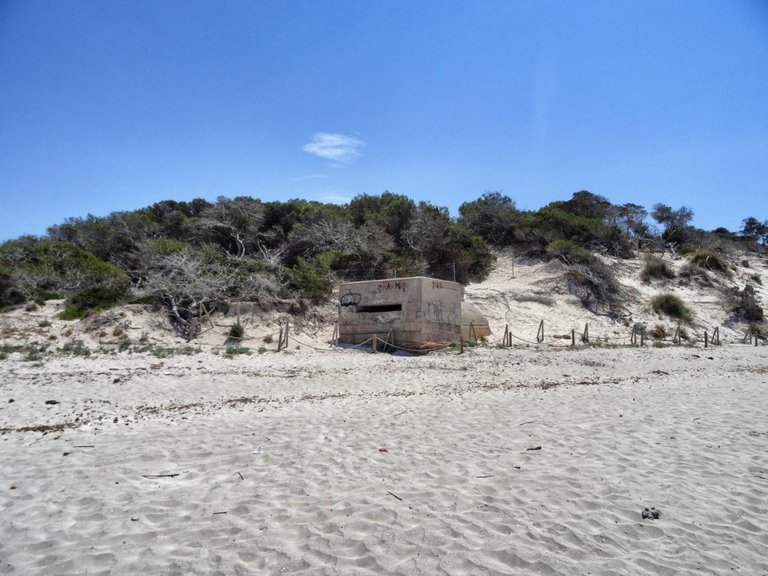 Much bunkers on the site