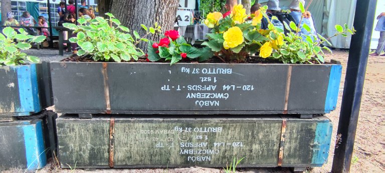 Flowers in the dirt (Paul McCartney), growing in very old ammunition cases