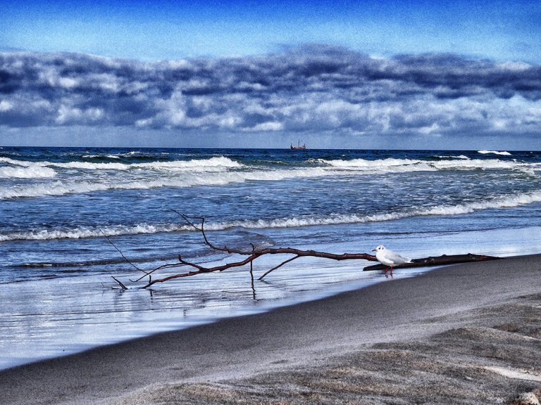 Empty at the sea: This area is rare visited