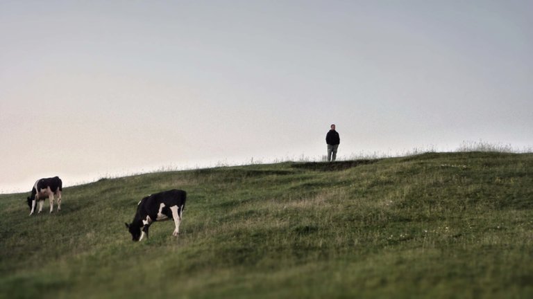 Me at a hill with cows