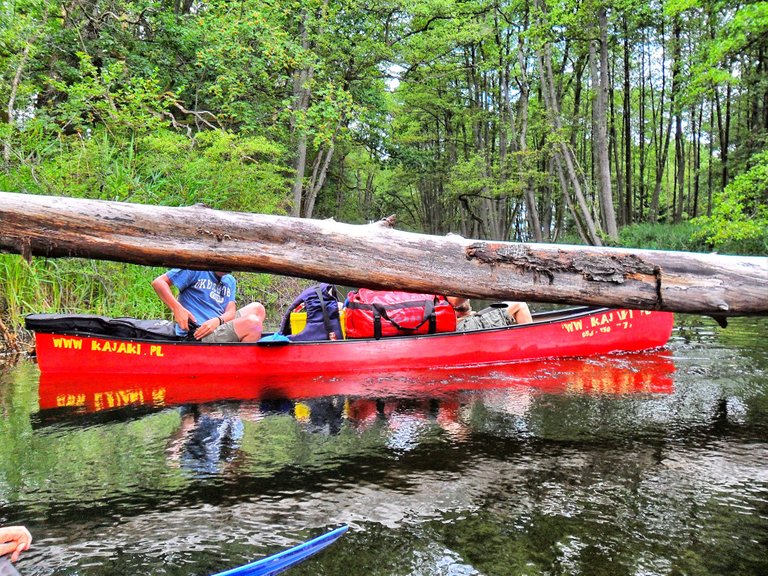 Our boat behind a tree