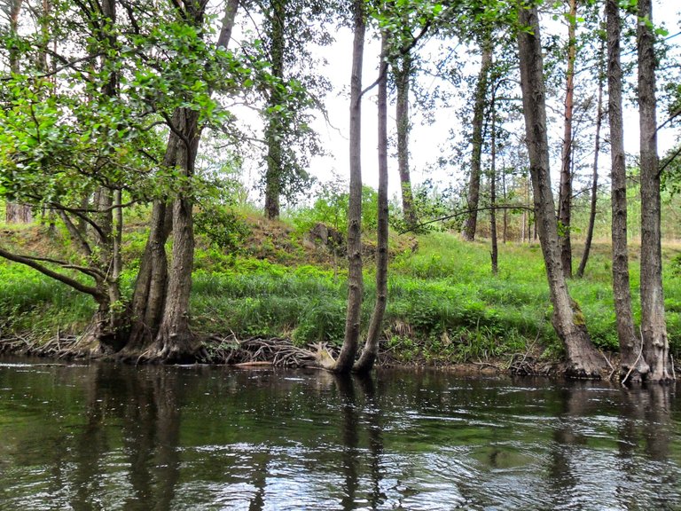 The rivers edge is so nature