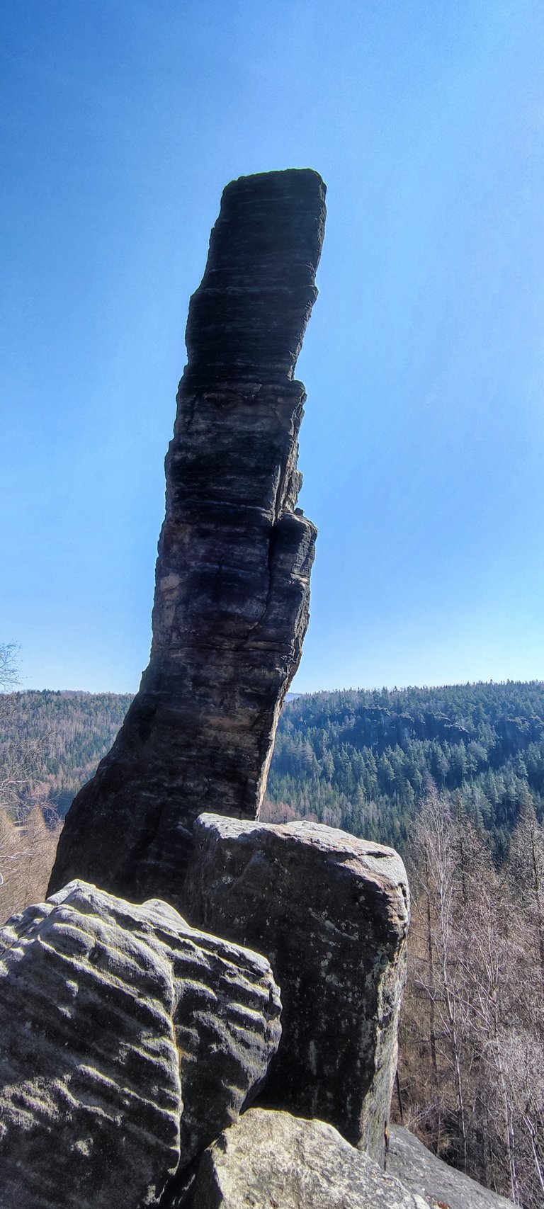 The wind forms this needles