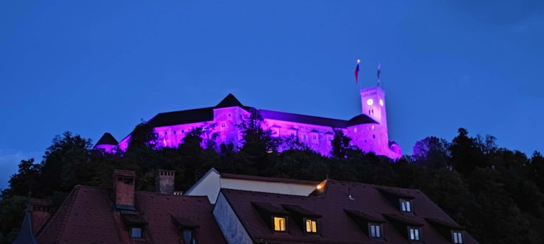 The castle by night, the color changed every two minutes