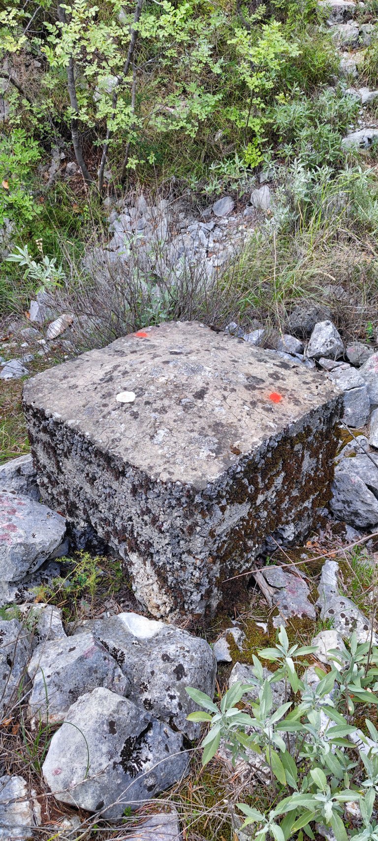 Old concrete blocks where one machine guns stood