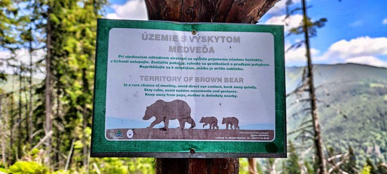 Warning! Bears ahead