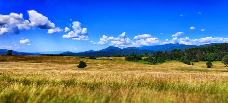 High on the hills are wide meadows