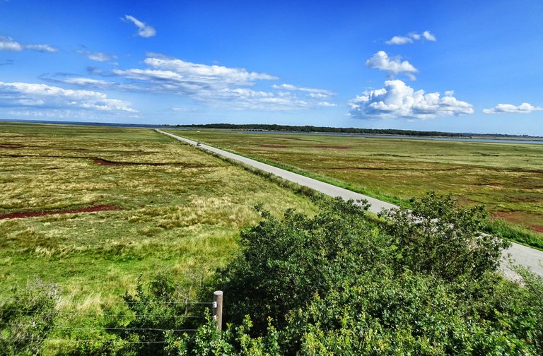 View down from the bird’s tower. On the horizon at the middle the bridge