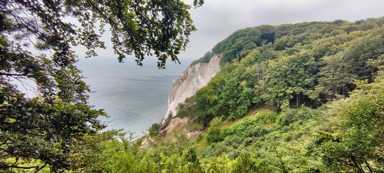 Green trees over the white rocks