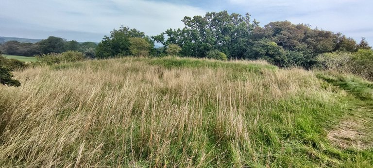 Wind making landscape