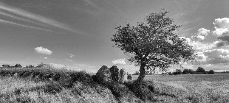 A landscape to remember