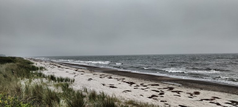 The wild Baltic Sea