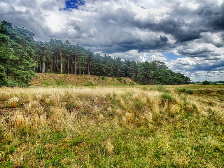 The landscape the vikings buried their dead