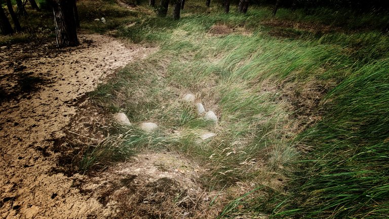 One of the buried boats