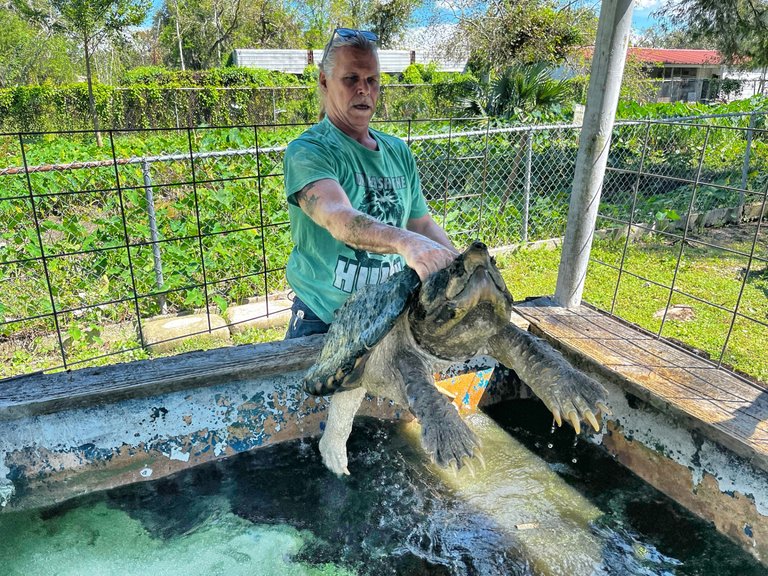 Lloyd with his Tortoise