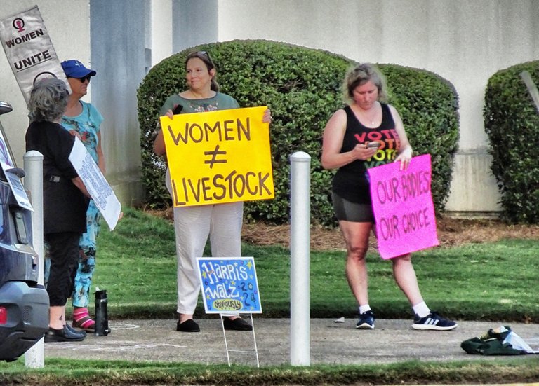 Protesters in Montgomery, right before the Senate