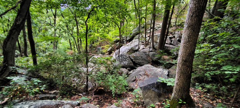 At the Lookout Mountain