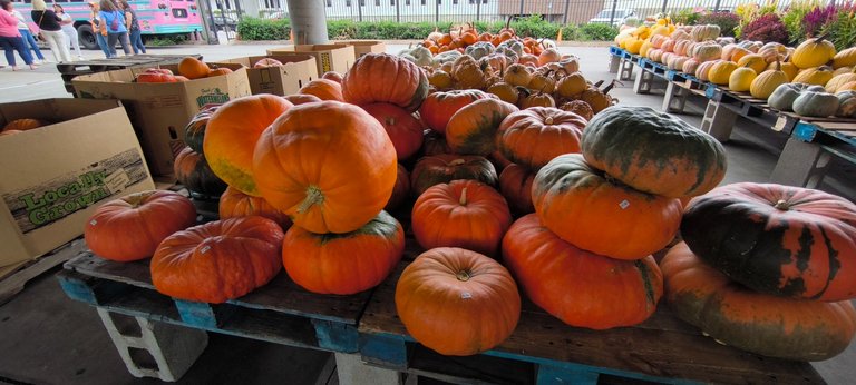 More pumpkins