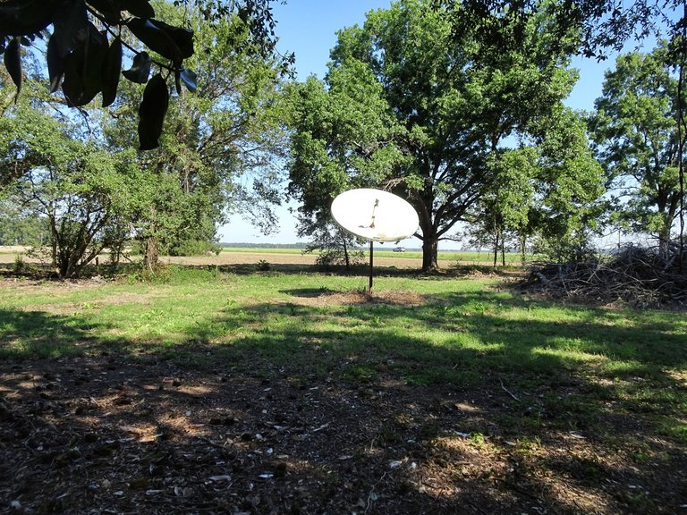 An old satellite dish in the garden