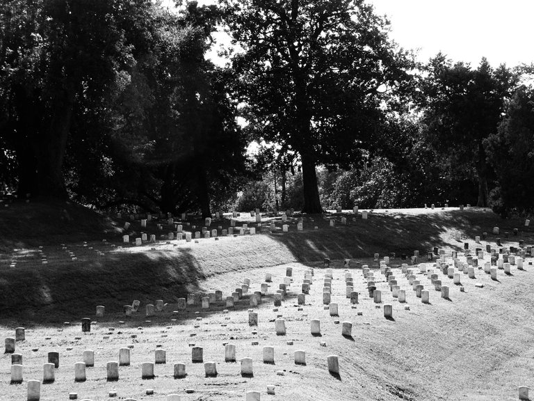 The cemetery of the battle