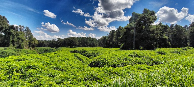 The landscape around the Manor is stunning