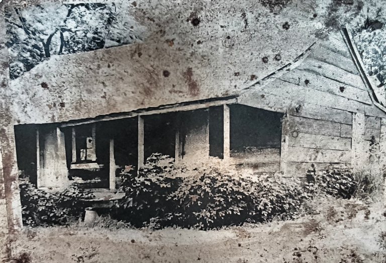 Muddy Waters cabin